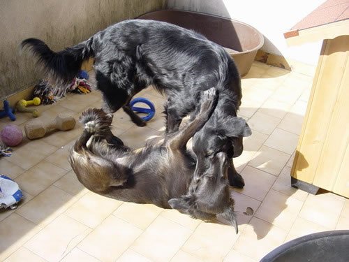 dsc00008_jpg.jpg