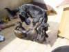 dsc00008_jpg_small.jpg