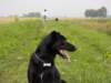 dsc00013_jpg_small.jpg