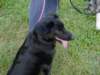 dsc00021_jpg_small.jpg