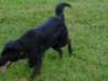 dsc00024_jpg_small.jpg