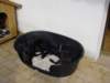 dsc00031_jpg_small.jpg