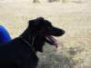 dsc00060_jpg_small.jpg