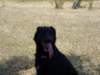 dsc00061_jpg_small.jpg
