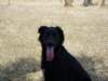 dsc00062_jpg_small.jpg