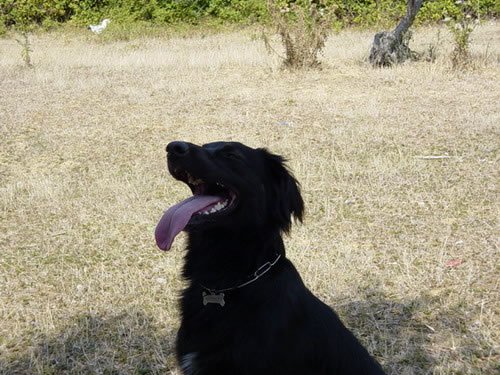 dsc00063_jpg.jpg