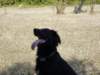 dsc00063_jpg_small.jpg