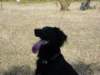 dsc00064_jpg_small.jpg