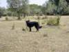 dsc00067_jpg_small.jpg