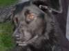 dsc00118_jpg_small.jpg