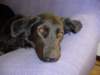 dsc00581_jpg_small.jpg