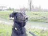 dsc00585_jpg_small.jpg