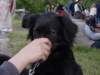 dsc00707_jpg_small.jpg