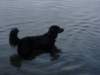 dsc00719_jpg_small.jpg