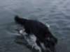 dsc00720_jpg_small.jpg