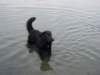 dsc00722_jpg_small.jpg