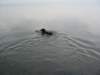 dsc00725_jpg_small.jpg