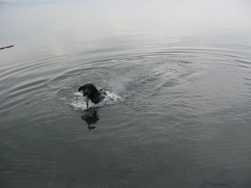 dsc00726_jpg.jpg