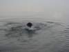 dsc00728_jpg_small.jpg