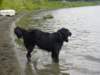 dsc00741_jpg_small.jpg