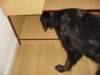 dsc01125_jpg_small.jpg