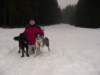 dsc01612_jpg_small.jpg