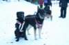 img_1325_jpg_small.jpg