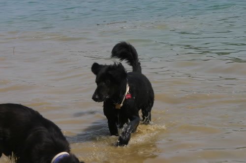 img_2141_jpg.jpg
