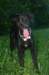 img_3257_jpg_small.jpg