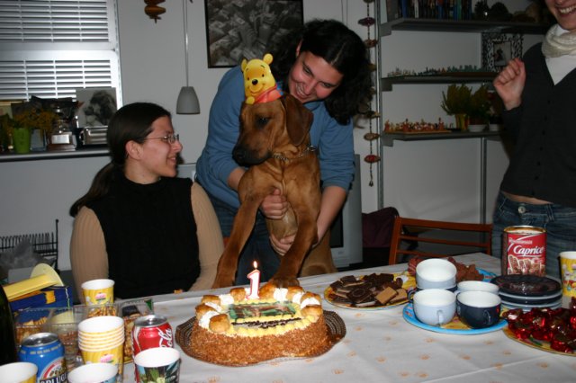 immagine008.jpg