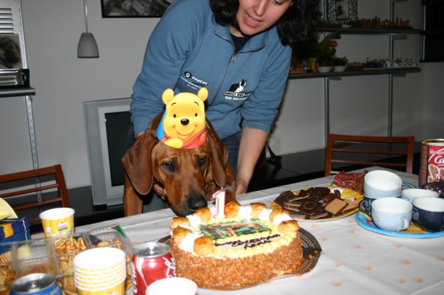 immagine015.jpg