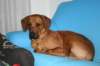 immagine025_small.jpg