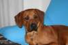 immagine026_small.jpg