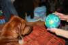 immagine050_small.jpg