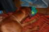 immagine051_small.jpg