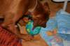 immagine052_small.jpg