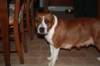 img_0016_small.jpg