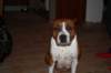 img_0017_small.jpg