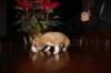 img_0073_small.jpg