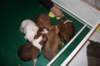 img_0080_small.jpg
