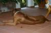 img_5387_small.jpg