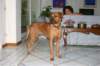 img_5444_small.jpg
