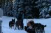 img_1337_small.jpg