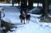 img_1350_small.jpg