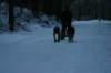 img_1361_small.jpg