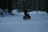 img_1370_small.jpg