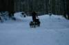 img_1371_small.jpg