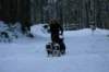 img_1375_small.jpg