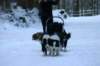 img_1377_small.jpg