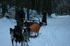 img_1379_small.jpg